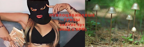 сатива Магас