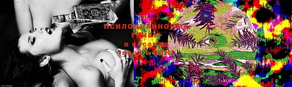 трава Медногорск