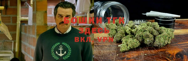 прущие крисы Медвежьегорск