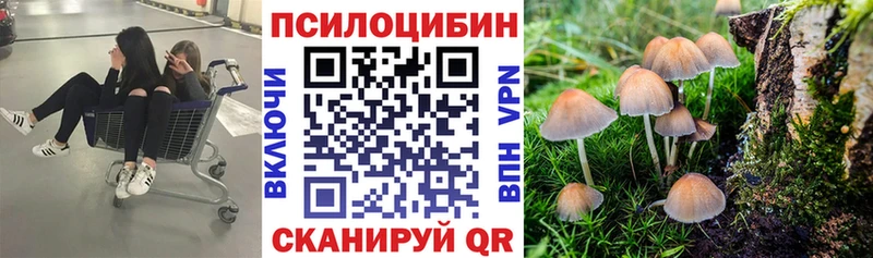 Псилоцибиновые грибы Cubensis  Мураши 